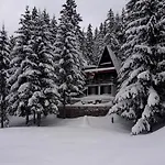 Tatil Evi Dzejla