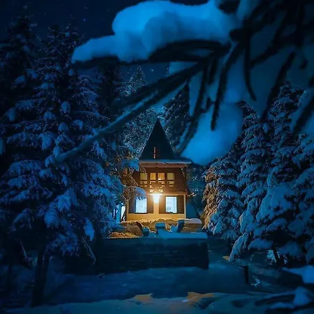 Dzejla *