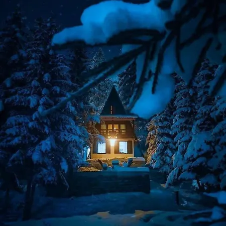 Tatil Evi Dzejla *